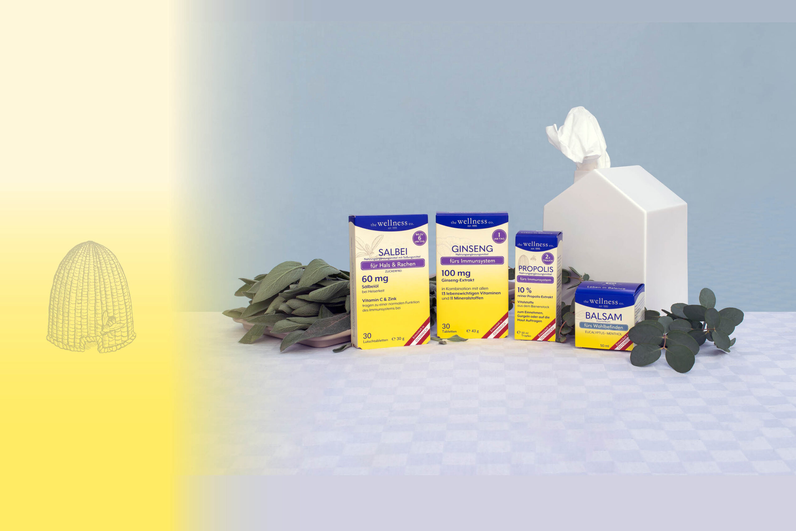 banner neues design_immunstark_St